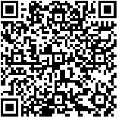 Saalbesen Bsn-Saal-Arenga-L600Mm