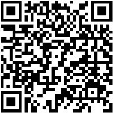 Saalbesen Bsn-Saal-Industrie-L600Mm