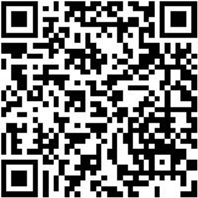 Saalbesen Bsn-Saal-Elaston-L600Mm