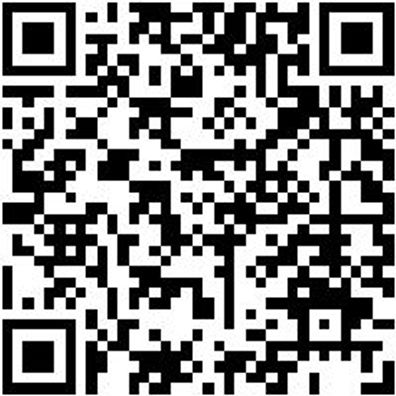 Saalbesen Bsn-Saal-L1000Mm