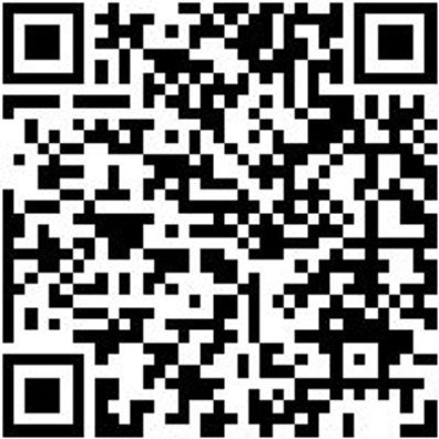 Saalbesen Bsn-Saal-L800Mm