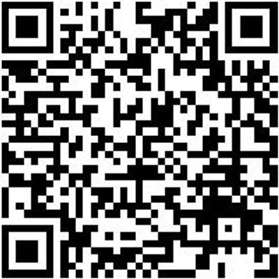 Saalbesen Bsn-Saal-Weich/Hart-Rot