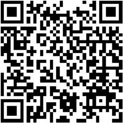 Hammerbohrer Plus Bo-Ham-Plus-Ql-D16,0-L600-Al550Mm