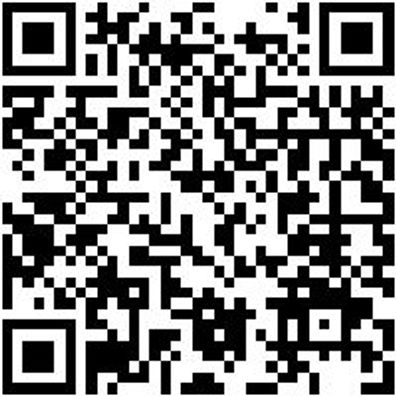 Hammerbohrer Plus Bo-Ham-Plus-Ql-D16,0-L265-Al210Mm