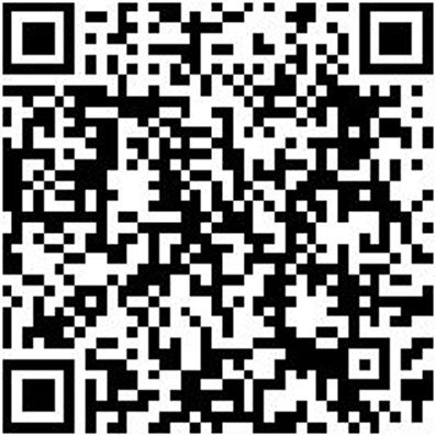 Rangierheber Rangierhbr-Alu/Stahl-(100-450Mm)-2,5T