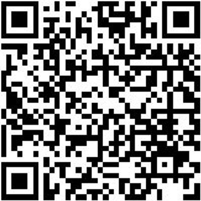 Hitzeschutzhandschuh Hitzshtzhndshh-H-120-Gr10