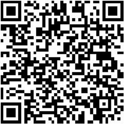 Arbeitspullover Iveco Sweat-Shirt Graphit Gr. Xs