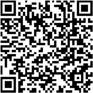 Arbeitspullover Iveco Sweat-Shirt Graphit Gr.S