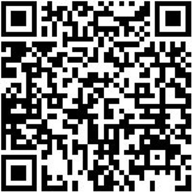 Arbeitspullover Iveco Sweat-Shirt Graphit Gr. Xl