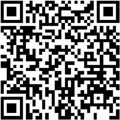 Arbeitspullover Iveco Sweat-Shirt Graphit Gr. Xxl