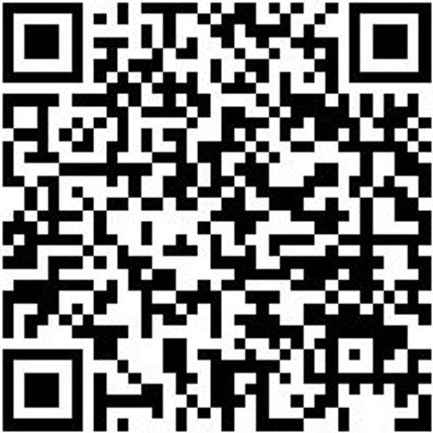 Klemmgripzange Klegrpzang-Parallel-L290Mm