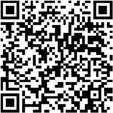 Lackierwalze Lkwalz-Wb/Lm-Florh8Mm-B250Mm