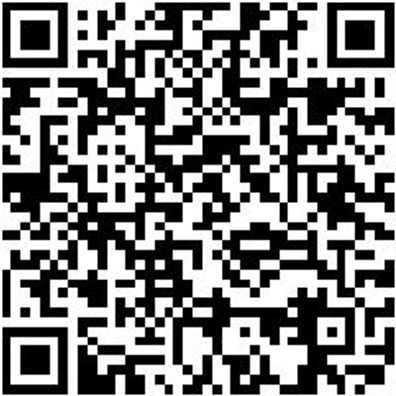 Klemmbalken Ladungssicherung Spebalken-(Kat-Combi1100)-(2440-2510Mm)