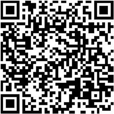 Ratschenzurrgurt Zgrt-Rat-Spitzhak-10T-B75Mm-L10M