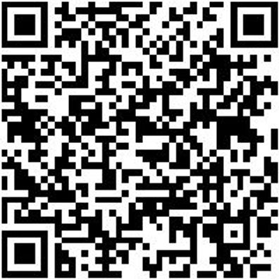 Ratschenzurrgurt Zgrt-Rat-1Tlg-Basic-25Mm-6M