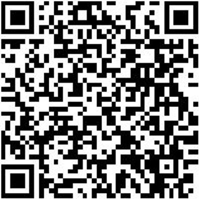 Ratschenzurrgurt Zgrt-Rat-2Tlg-Karabiner-25Mm-6M