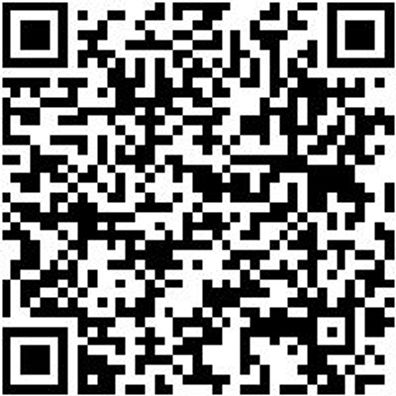 Ratschenzurrgurt Zgrt-Rat-1Tlg-Basic-25Mm-1,0M