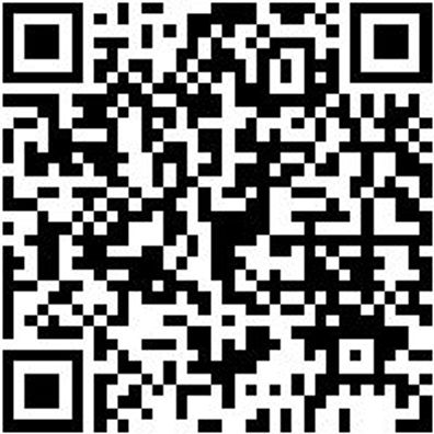 Ratschenzurrgurt Zgrt-Rat-Aufroller-Spitzhaken-B25Mm-L3M