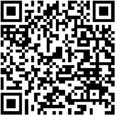 Anlegeleiter Anleglei-Alu-Trav-16Spro