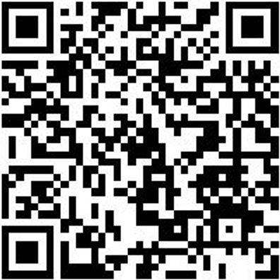 Schiebeleiter Shieblei-2Tlg-Alu-Trav-2X16Spro