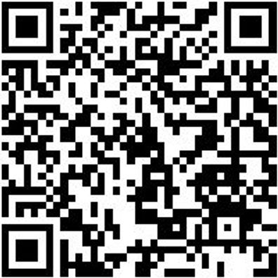 Schiebeleiter Shieblei-2Tlg-Alu-Trav-2X14Spro