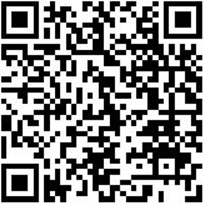 Schiebeleiter Stuf-Shieblei-2Tlg-Alu-2X10Stuf