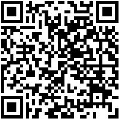 Arbeitsshirt Langarmshirt Forst Gelb/Rot 4Xl