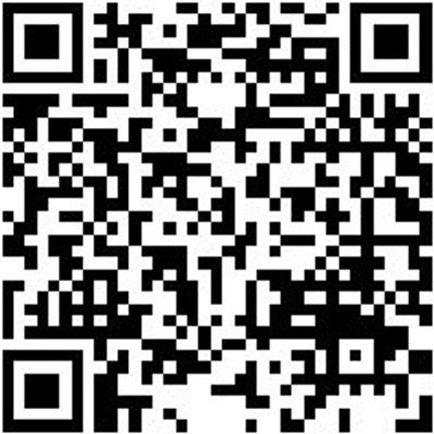 Lochzange Lozang-Revolver-L220Mm