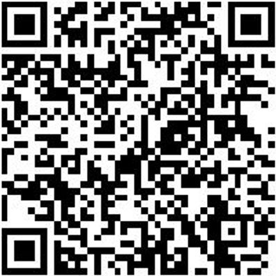 Magazinschraubendreher Shrdrh-Mg-Holz/Bau-13Tlg