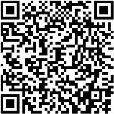 Magazinschraubendreher Shrdrh-Mg-Ratsche-Auto/Metall-13Tlg