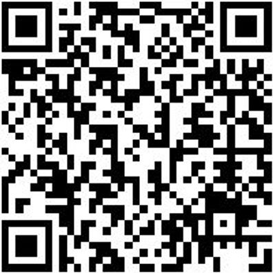 Arbeitsshirt Longsleeve Job+ Schwarz 5Xl