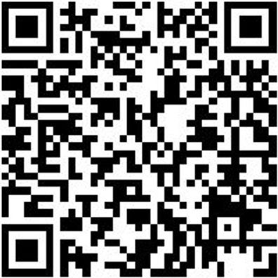 Arbeitsshirt Longsleeve Ls Job+ Anthrazit M