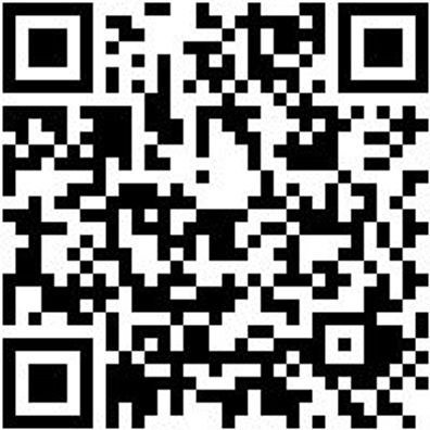 Arbeitsshirt Longsleeve Job+ Grau M