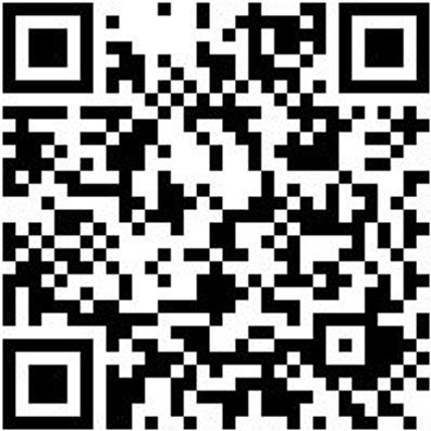 Arbeitsshirt Longsleeve Job+ Grau Xl