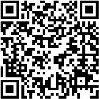 Arbeitsshirt Longsleeve Job+ Grau 3Xl