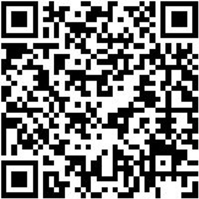 Arbeitsshirt Longsleeve Job+ Grau 5Xl