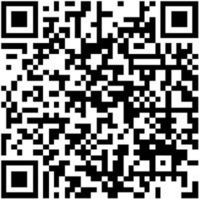 Arbeitsshorts Zunftbermuda Canvas Schwarz 48