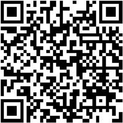 Arbeitsshorts Zunftbermuda Canvas Schwarz 52