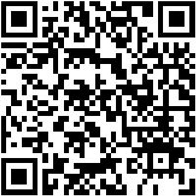 Arbeitsshorts Bermuda Stretch X Anthrazit 50