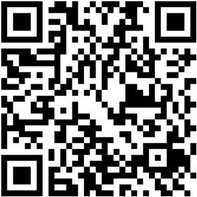 Arbeitsshorts Bermuda Nature Grau 42