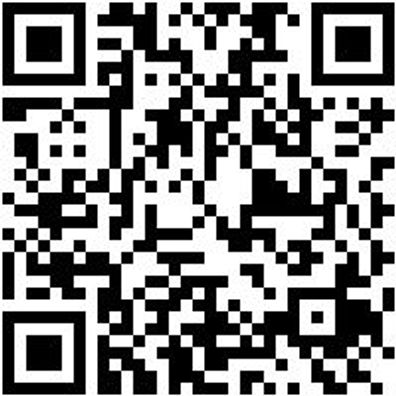 Arbeitsshorts Bermuda Nature Grau 48