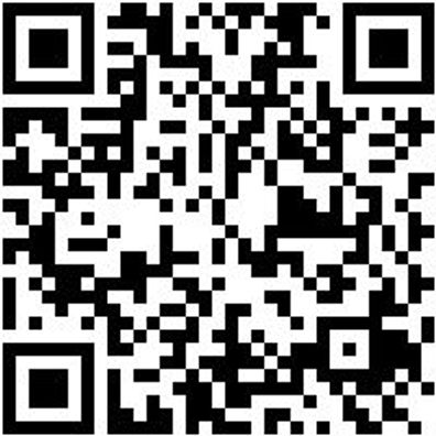 Arbeitsshorts Bermuda Nature Grau 54