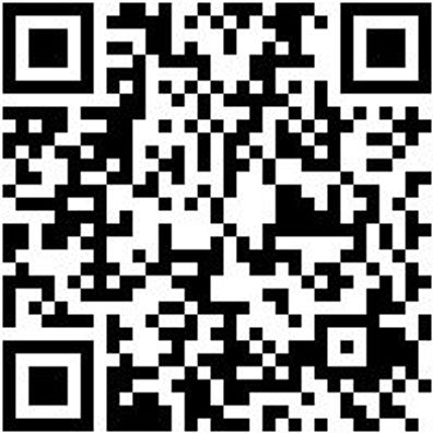 Arbeitsshorts Bermuda Nature Grau 60