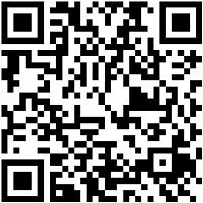 Arbeitsshorts Bermuda Nature Grau 66