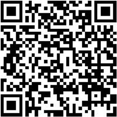 Arbeitsshorts Bermuda Nature Schwarz 44