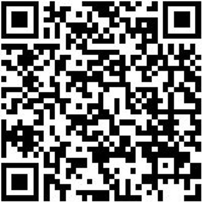 Arbeitsshorts Bermuda Nature Schwarz 50