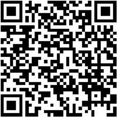 Arbeitsshorts Bermuda Nature Schwarz 56