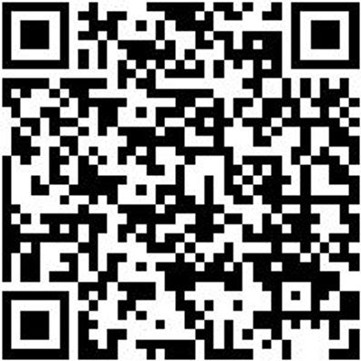 Arbeitsshorts Bermuda Nature Schwarz 62