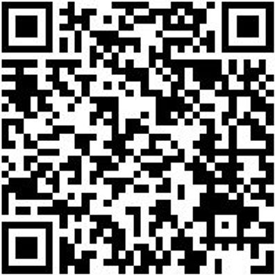 Arbeitsshorts Bermuda Cetus Grau/Anthrazit 50