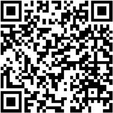 Nageleisen Ngleis-L600Mm